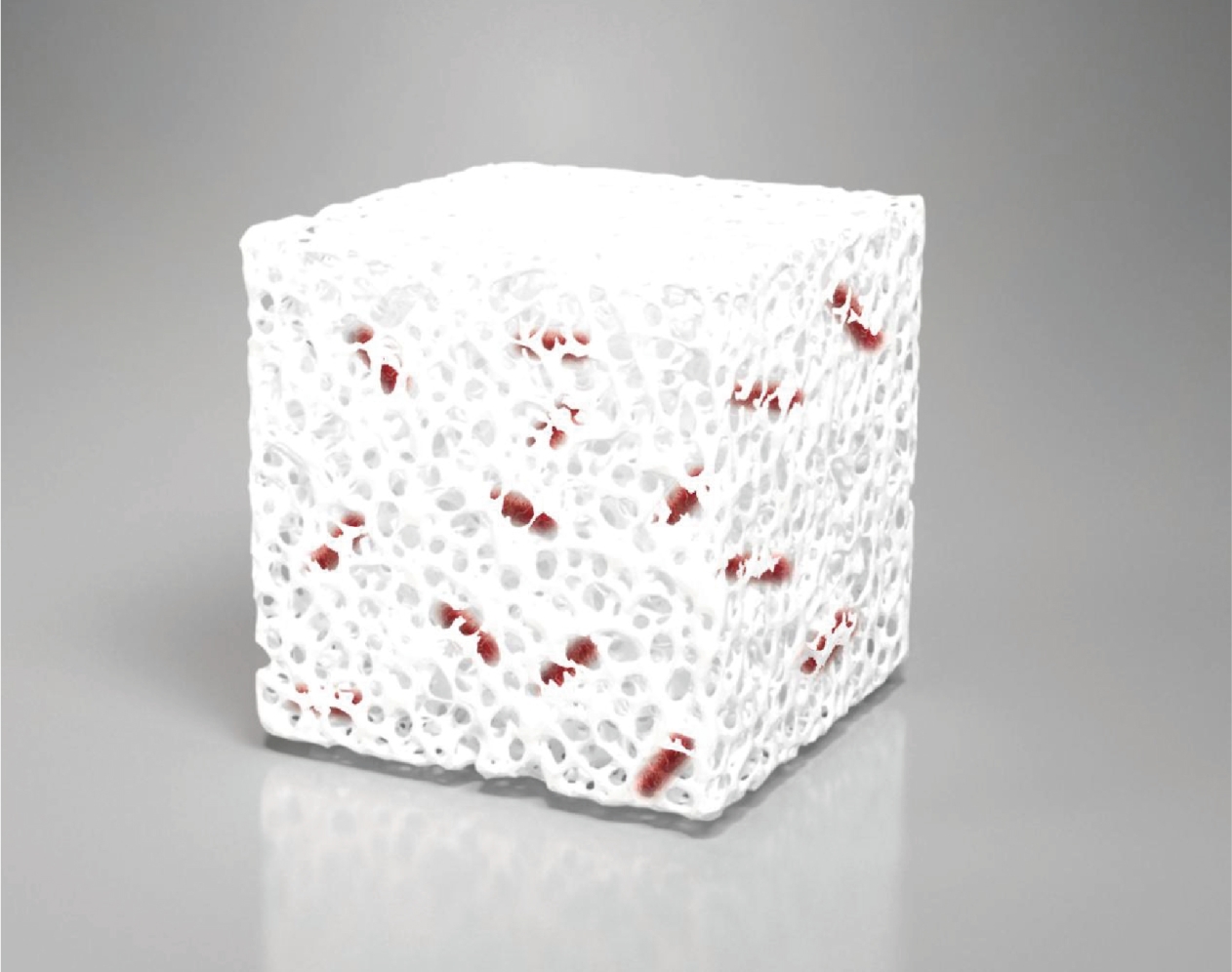 1703837441887478.png 1703837441887478.png